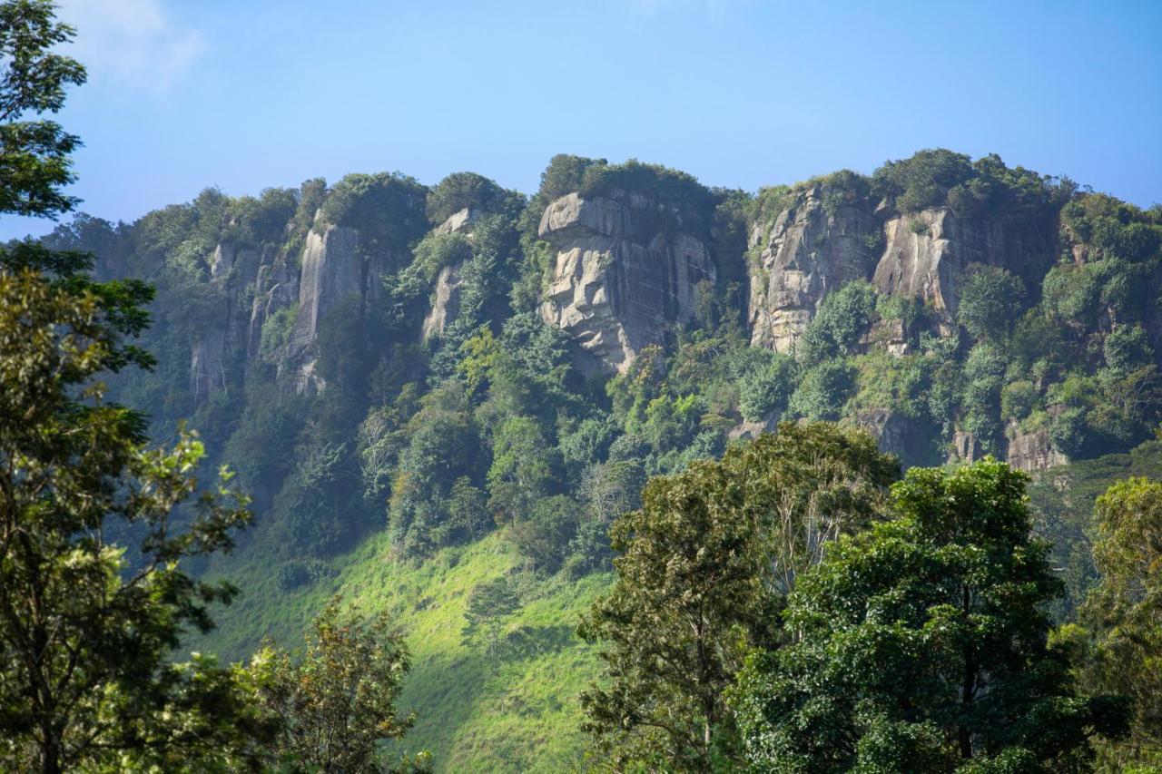 W15 Hanthana Estate Kandy Kültér fotó